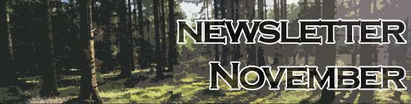 Newsletter: Nachtaktiver November